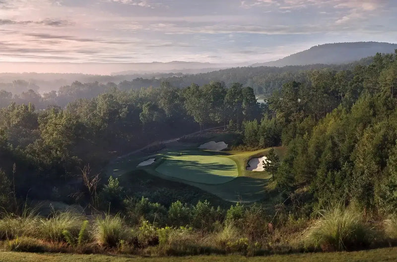 Sunny Side Up & Down Event v.9