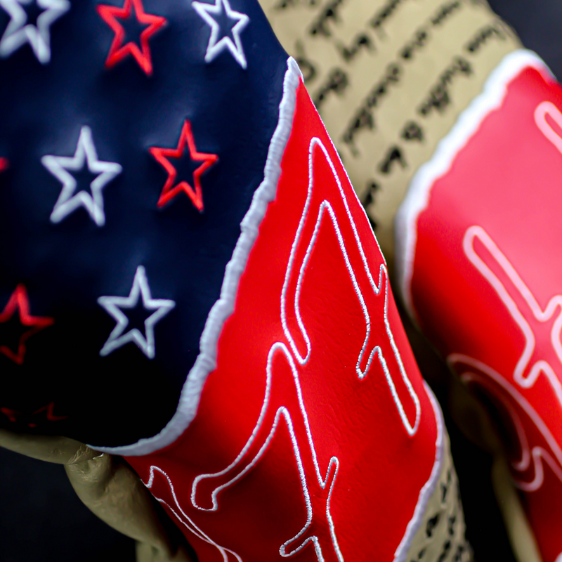 1776 Declaration Hybrid Cover